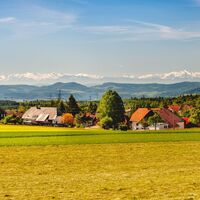 Alpenpanorama bei Bergalingen