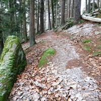 Trailtour Waldeck
