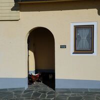 In Maierhof: Das ist bitte nicht der Eingang in den Hühnerstall.