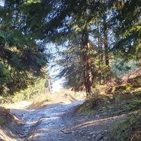 Radweg nochmals links