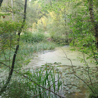Stellerskuppenweg 12