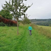 Schaukelweg Ostwig, über einen Wiesenweg