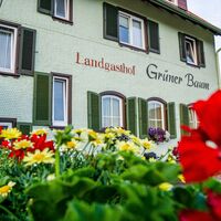 Eine gute Einkehrmöglichkeit ist der idyllische Landgasthof Grüner Baum in Aichelberg