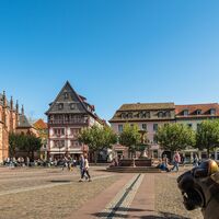 Marktplatz Neustadt