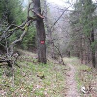 Puchberg - Edelweißhütte