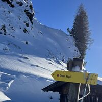 Abzweigung Thaler Kogel Schneeschuhtour Hösljoch
