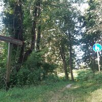Das Naturgebiet Kirschenberg auf den VitalWegen 5 und 22 