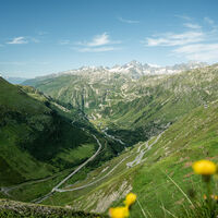 Bergpanorama vom Furkapass