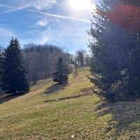 Abstieg, Blick zum Schöpfl Schutzhaus zurück