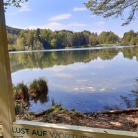 Trattnigteich