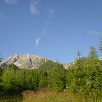 Blick aufs Warscheneck