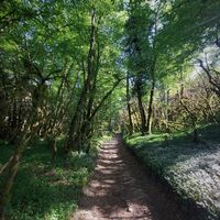 Chemin du Lac d'Armaille