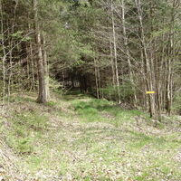 bei der Furt