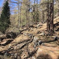Der Weg hoch in die Alpen von Saas-Balen