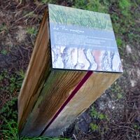 Foret-de-Migelane--EstelleSOLER--15-retourchee