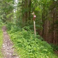 Rechts Abzweigung zum Heiligen Bründle