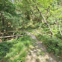 1. Brücke auf die rechte Bachseite