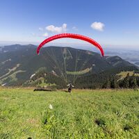 Gleitschirmflieger am Laber