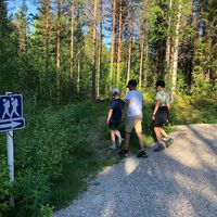 Start des Waldwegs