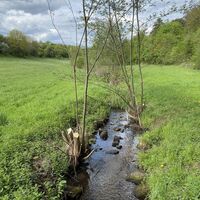 Eckbach, Leininger Klosterweg