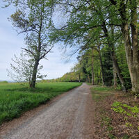 Entlang des Panoramawegs Straubenhardt