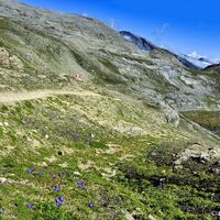 Abwechslungsreich wie sonst nirgends, präsentiert sich hier die Gesteinswelt der „Hohen Tauern“