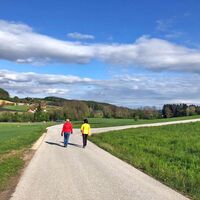 Apfelrundweg, Gemeinde Etzersdorf-Rollsdorf, Oststeiermark