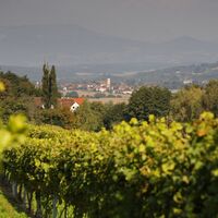 Aussichtstipp: Vom Bergstadl genießt man eine herrliche Aussicht