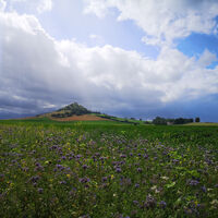 Der Desenberg aus der Ferne