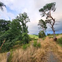 Über kleine Pfade im Gelängetal in Medebach