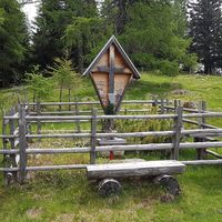 9.9 km Maibrunntrail