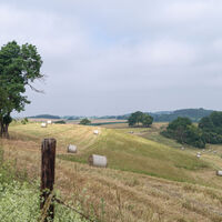 Eifelspur Kräuterpfad - Blick über Felder und Wiesen
