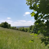 Mitten in der Natur des Rundweges