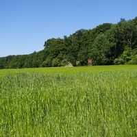 Zwischen Wald und Wiesen oberhalb des Rimmelsbacher Hofs