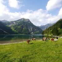 Vilsalpsee