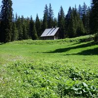 Jagdhütte beim Durchfall