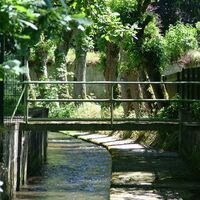 Der Sorpebach_Fabian Weisser