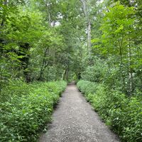 ..gehts im grünen Bereich weiter.