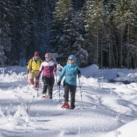 Schneeschuhwanderer auf der Schneeschuhtour Obertal