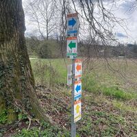 Auen-Trail - Steyr Unterhimmler Au