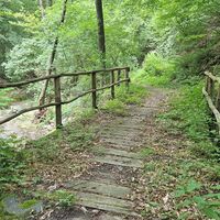 3. Brücke wieder auf die rechte Bachseite