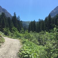 Hinein ins Gemsteltal