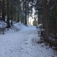 Vigo - Larcioné - Tamion - Larcioné ©Archivio APT Val di Fassa