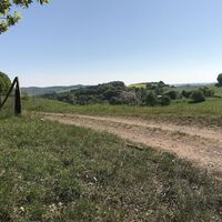Blick zum Wackenbornerhof