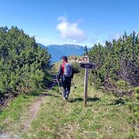 Beim Abstieg zur Malga Claupa