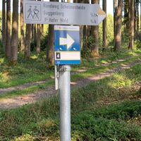 Wegweiser im Wald