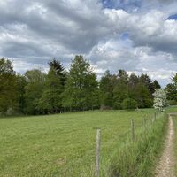 Leininger Klosterweg