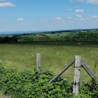 Herrlicher Blick von Dittersdorf