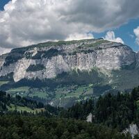 Rundtour Bonaduzer Wald 256