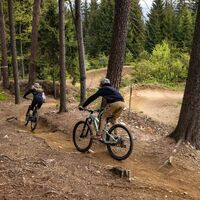 Singletrail